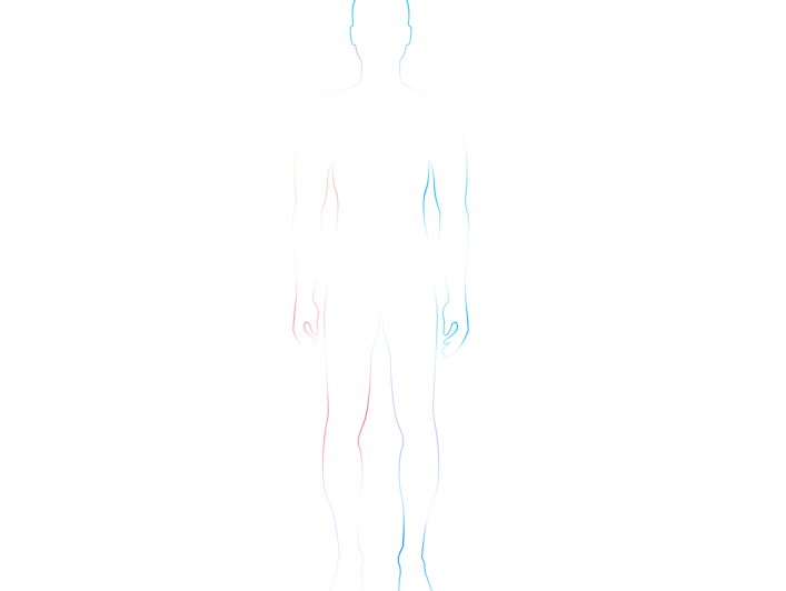 Image of the body that has lines pointing to certain parts w/ something to say. A line is pointing to the brain that says 'Brain Function'. A line is pointing to the heart that says 'Heart Fitness'. A line is pointing to the heart, lungs and legs that says 'Recovery'. A line is pointing to the lungs that says 'Lung Fitness'. A line is pointing to the core that says 'Posture'. A line is pointing to the legs that says 'Metabolism', 'Cellular Health', and 'Fat Burn Efficiency'.
